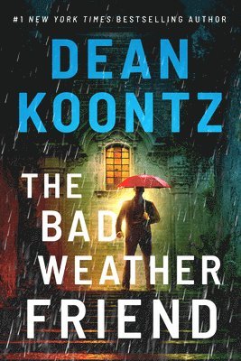 The Bad Weather Friend