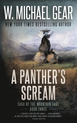 bokomslag A Panther's Scream