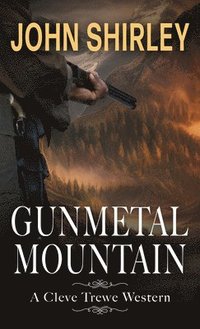 bokomslag Gunmetal Mountain