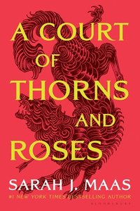 bokomslag A Court of Thorns and Roses