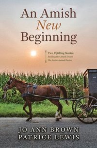 bokomslag An Amish New Beginning