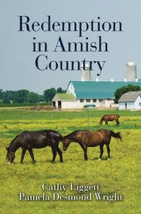 bokomslag Redemption in Amish Country