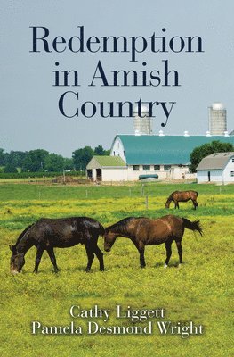 bokomslag Redemption in Amish Country