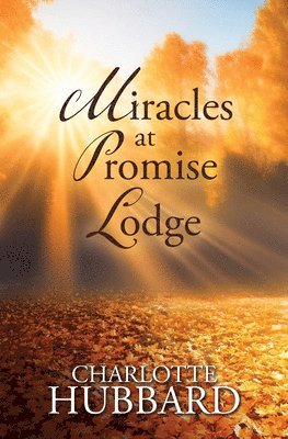 bokomslag Miracles at Promise Lodge