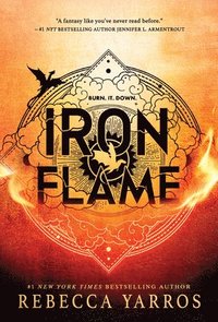 bokomslag Iron Flame
