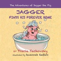 bokomslag Jagger the Pig Finds His Forever Home