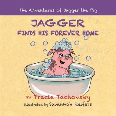 bokomslag Jagger the Pig Finds His Forever Home