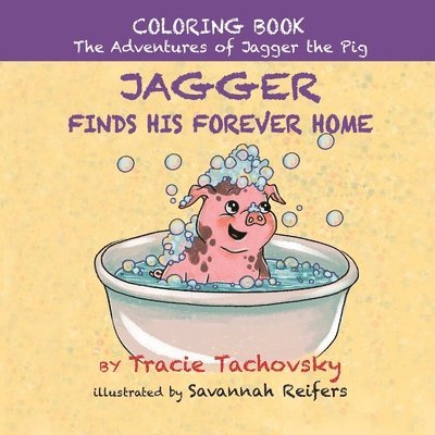 Jagger the Pig Finds His Forever Home 1