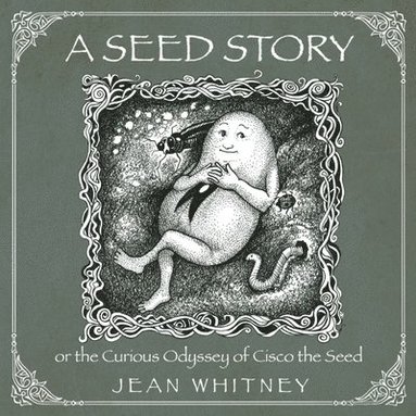 bokomslag Seed Story