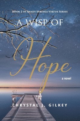 bokomslag A Wisp of Hope