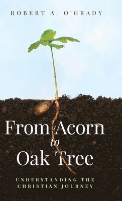 bokomslag From Acorn to Oak Tree