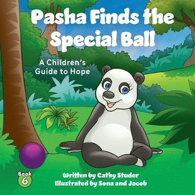 bokomslag Pasha Finds the Special Ball