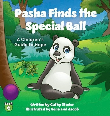 bokomslag Pasha Finds the Special Ball