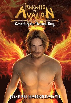 Rebirth of the Phoenix King 1
