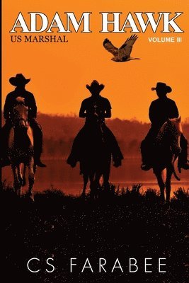 Carol Farabee - Adam Hawk Voliume 3, Häftad