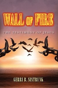bokomslag Wall of Fire