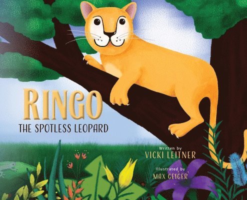 Ringo the Spotless Leopard 1