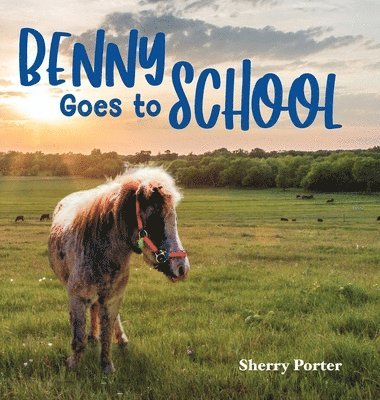 bokomslag Benny Goes to School