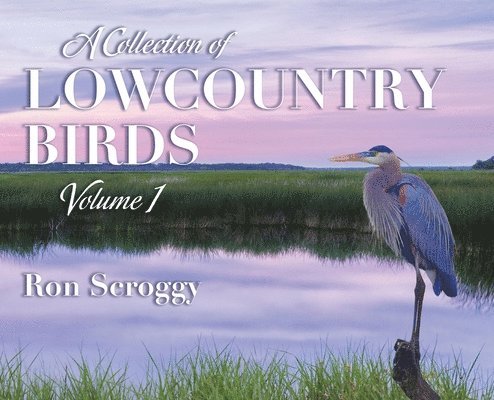 A Collection of Lowcountry Birds 1