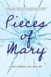 bokomslag Pieces of Mary