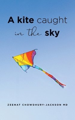 A Kite Caught in the Sky 1