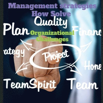 Management strategies How Solve Organizational Challanges 1