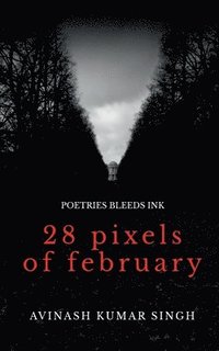 bokomslag 28 Pixels of February