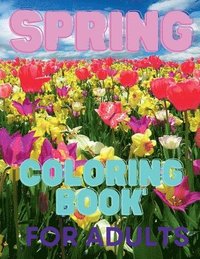 bokomslag Spring Coloring Book For Adults