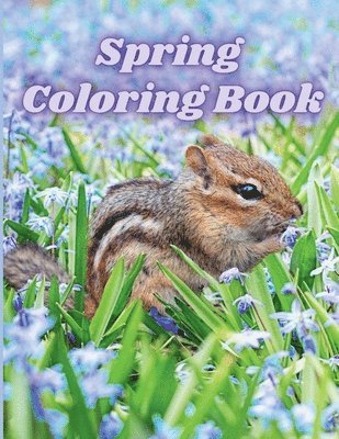 bokomslag Spring Coloring Book