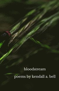 bokomslag bloodstream