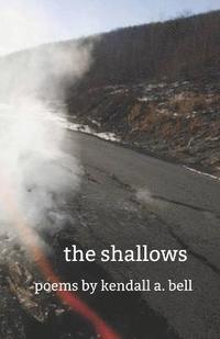 bokomslag The shallows