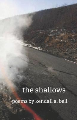 The shallows 1