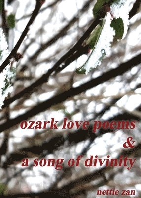 bokomslag Ozark Love Poems & a Song of Divinity