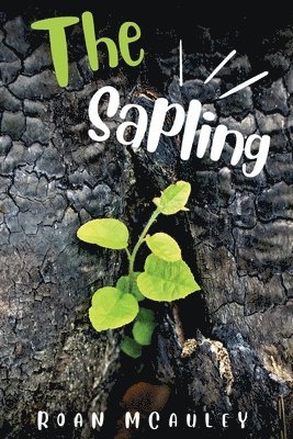 bokomslag The Sapling