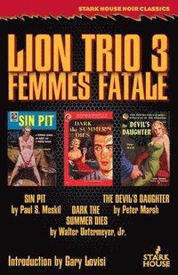 bokomslag Lion Trio 3
