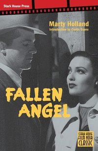 bokomslag Fallen Angel