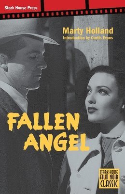 bokomslag Fallen Angel