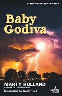 bokomslag Baby Godiva