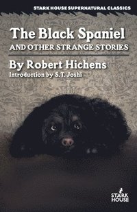bokomslag The Black Spaniel and Other Strange Stories