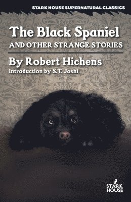 The Black Spaniel and Other Strange Stories 1