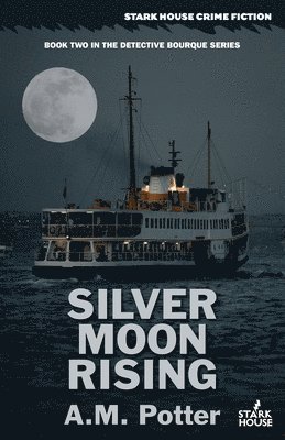 Silver Moon Rising 1