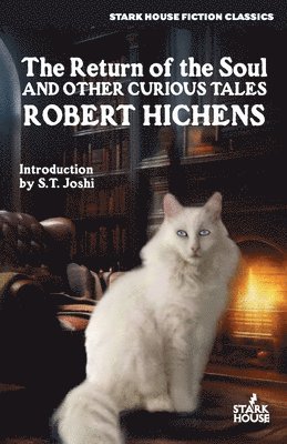 The Return of the Soul & Other Curious Tales 1