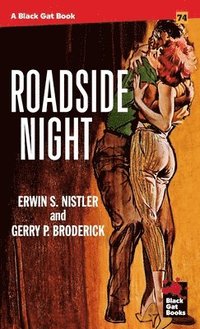 bokomslag Roadside Night