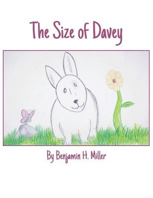 The Size of Davey 1