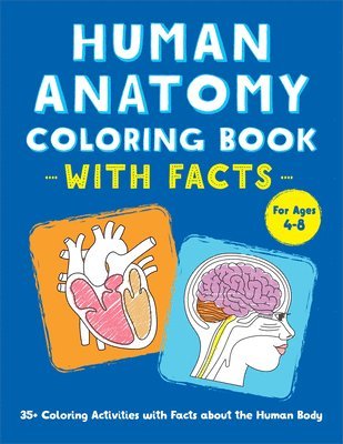 bokomslag Human Anatomy Coloring Book with Facts