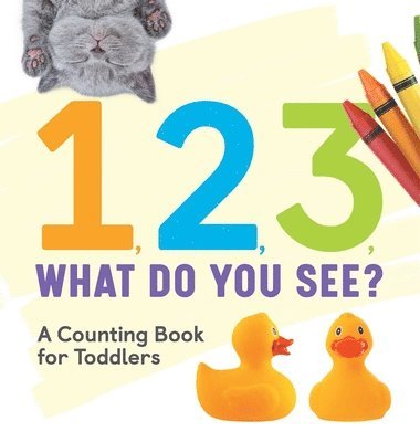 Rockridge Press - 1, 2, 3, What Do You See?: A Counting Book for Toddlers, Inbunden