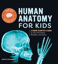 bokomslag Human Anatomy for Kids