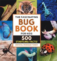 bokomslag The Fascinating Bug Book for Kids