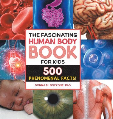 bokomslag The Fascinating Human Body Book for Kids