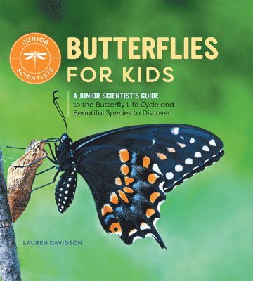bokomslag Butterflies for Kids